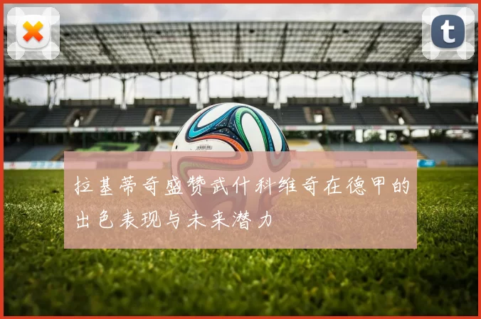 拉基蒂奇盛赞武什科维奇在德甲的出色表现与未来潜力