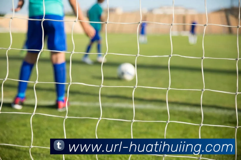 华体会体育APP 高清赛事图